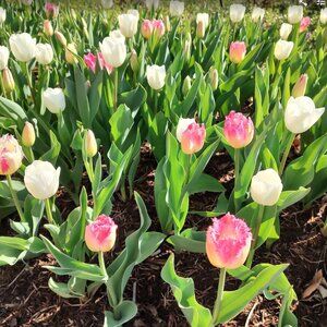 Meet your Posher, Nina